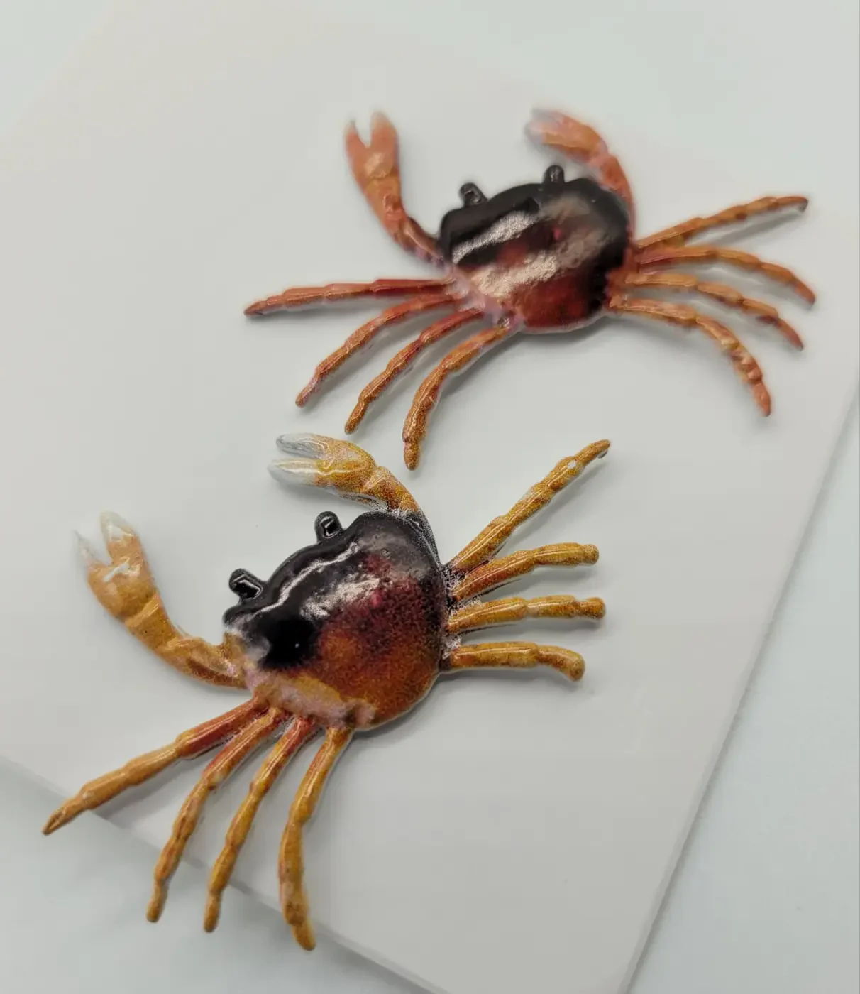 Quirky Crabby Studs